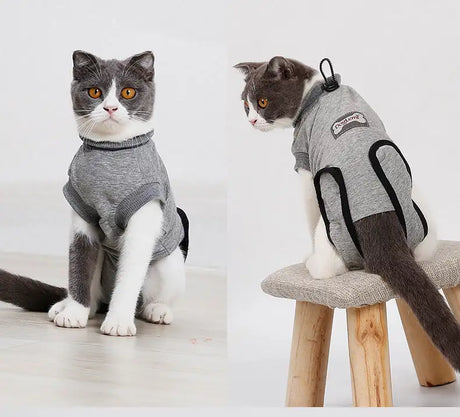 Pet Cat Recovery After Surgery Clothing Pet Wound Anti-mite Sterilization Suit pet products supplies &c - Lootquake
