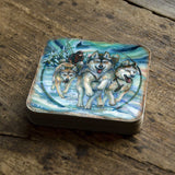 Northern Night Wooden Cork Coasters Gift Set of 4 by J. Bergsma - Wildlife Decor  - 8199468C-S4