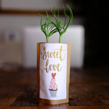 Sweet Love-0