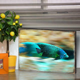 Arte de pared costero de madera con peces tropicales de Nature Wonders - Decoración costera de vida marina - 95264B