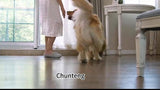 3pacs Pet Blanket Dog Puppy Blanket Paw Print Fleece Blanket For Small Medium Pet Dog Cat Warm Soft Sleep Mat (White, Coffee, Pink )  XS:40*60CM, S:52*76CM