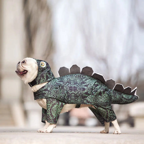 Pet dinosaur clothes - Lootquake
