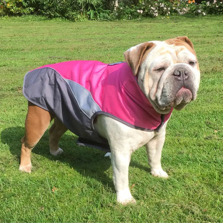 Waterproof outdoor poncho for pets - Lootquake