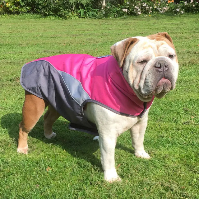 Waterproof outdoor poncho for pets - Lootquake