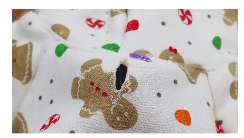 Pet clothes - Lootquake