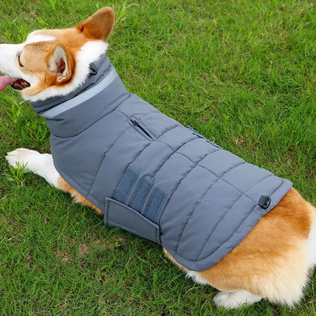 New Winter Dog Coat Waterproof Pet Clothes For Medum Large Dogs Warm Thicken Dog Vest Custome Labrador Jacket - Lootquake