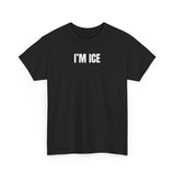 I'm Ice Funny Matching Couple Shirt – Cute & Hilarious His and Hers Graphic Tee