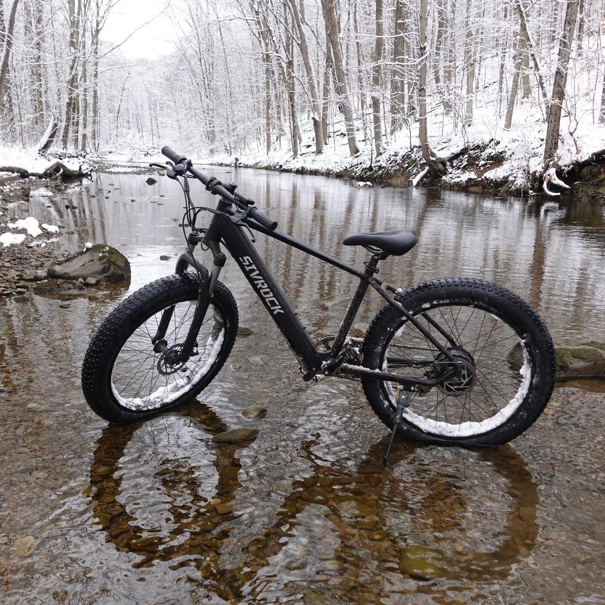 1000W Electric Bike for Trail & Commute