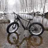 1000W Electric Bike for Trail & Commute
