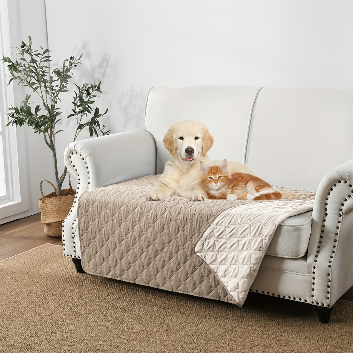 [Protector impermeable para cama de perro] Funda impermeable de doble cara para cama de perro, manta para mascotas, sofá, protector de muebles para perros