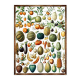 Póster Montessori de madera con frutas - Póster educativo para niños - Decoración para el aula - Estética - 310224