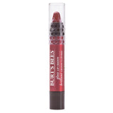 BURT'S BEES Gloss Lip Crayon