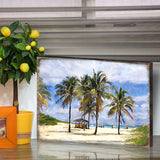 Arte de pared costero de madera con palmeras Sowder de Nature Wonders - Decoración costera de vida marina - 95258B