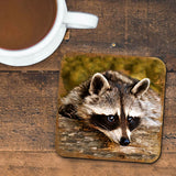 Raccoon Wooden Cork Coasters Gift Set of 4 by Nature Wonders - Nature Wildlife Decor  - 95289C-S4