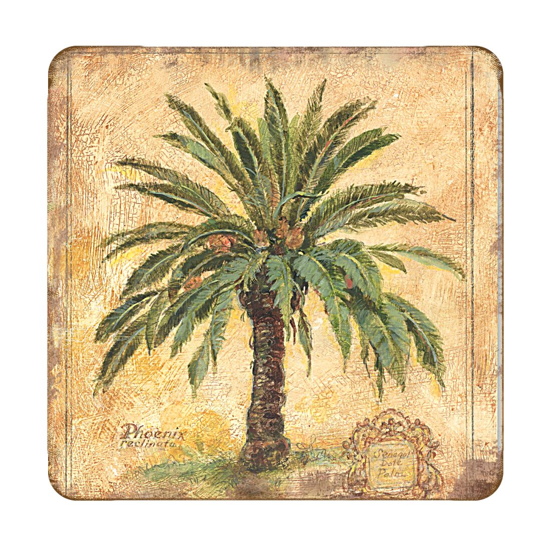 Palm Tree Coastal Wooden Cork Coasters Gift Set of 4 by Nature Wonders - Coastal Sea-Life Decor - 8198630C-S4