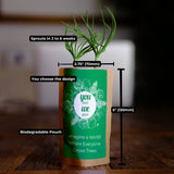 Nurture Our Roots with 100 Trees – “Swan Love"
