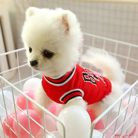 Dog Summer Clothes Teddy Vest Breathable - Lootquake