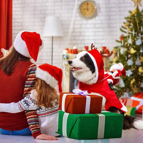 Dog Christmas Clothes Santa Claus Riding Deer - Lootquake