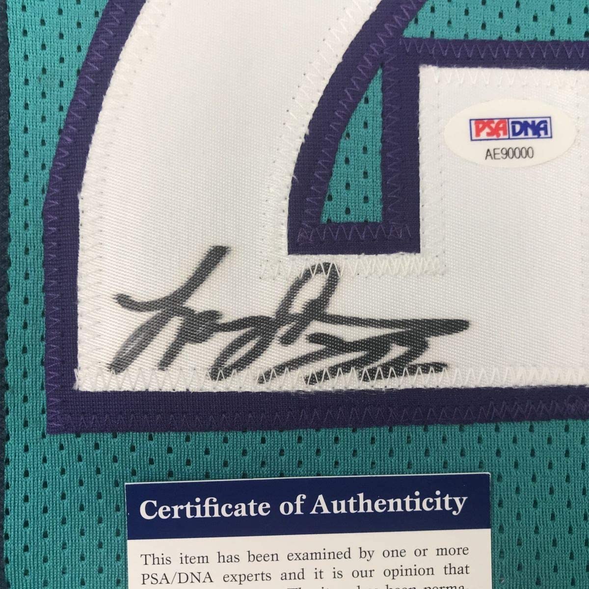 Camiseta de baloncesto Charlotte Teal de Larry Johnson, enmarcada, autografiada y firmada, 35 x 39, PSA/Certificado de autenticidad de ADN
