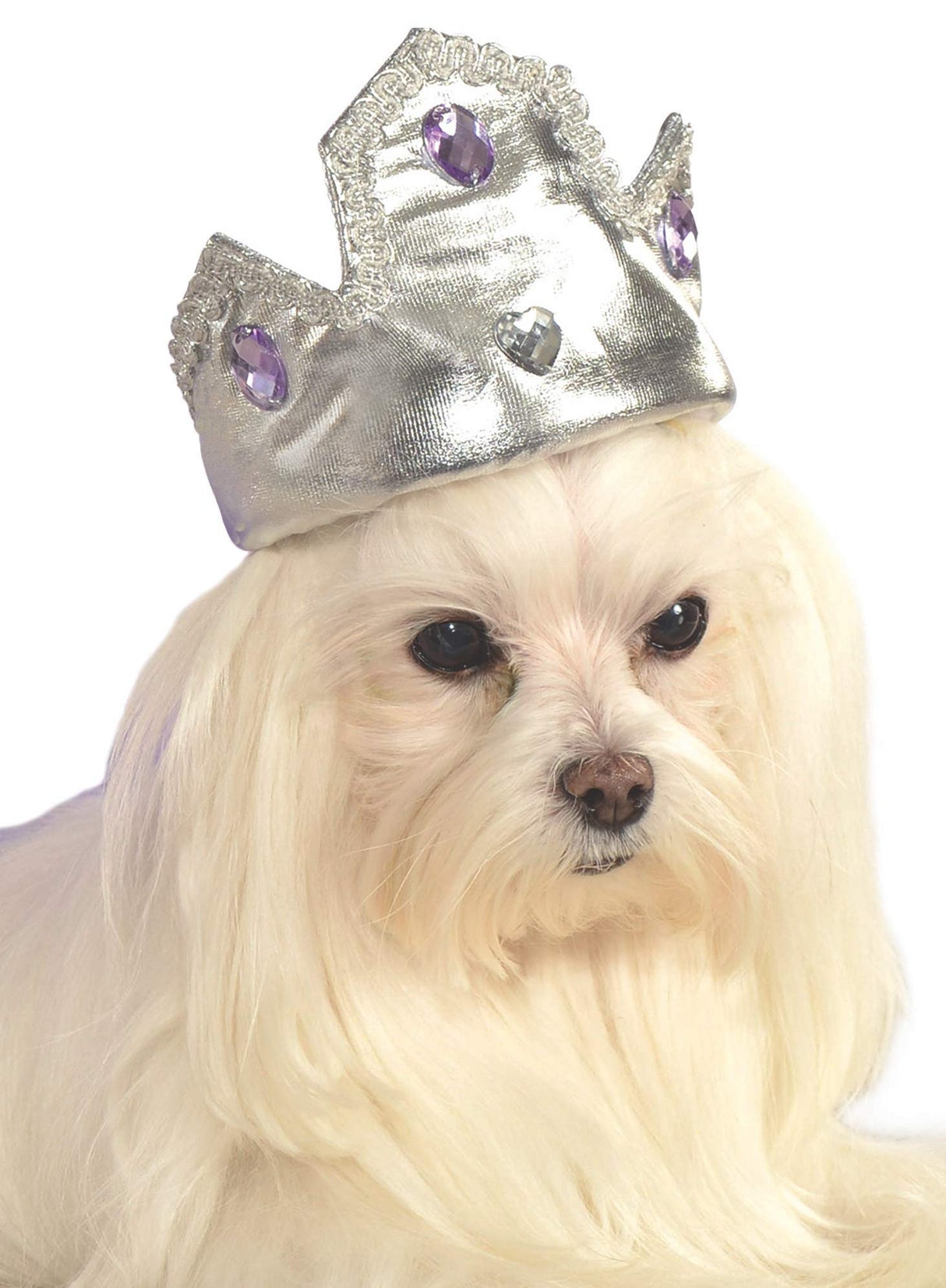 Pets Silver Tiara with Purple Stones Costume Hat Accessory