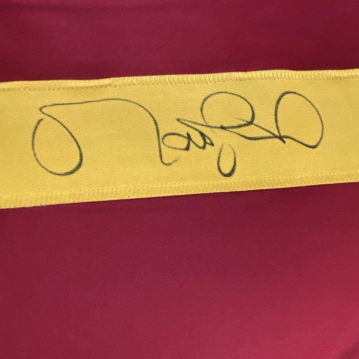 Camiseta de fútbol americano universitario autografiada/firmada por Matt Leinart USC Southen Cal Red JSA COA