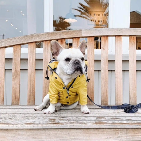 Dog Raincoat Pet Clothes Dog Clothes Rain Water - Lootquake