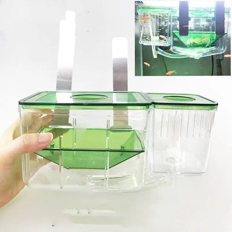 Hatching box guppy sick fish isolation box fighting fish - Lootquake