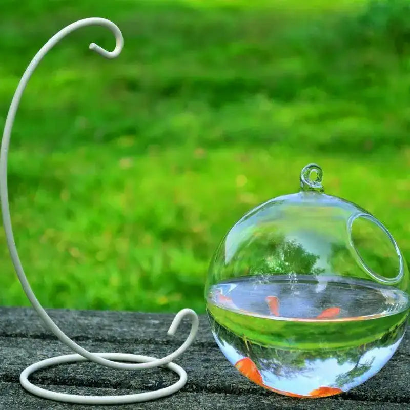 Hanging Glass Vase Fish Tank - Lootquake