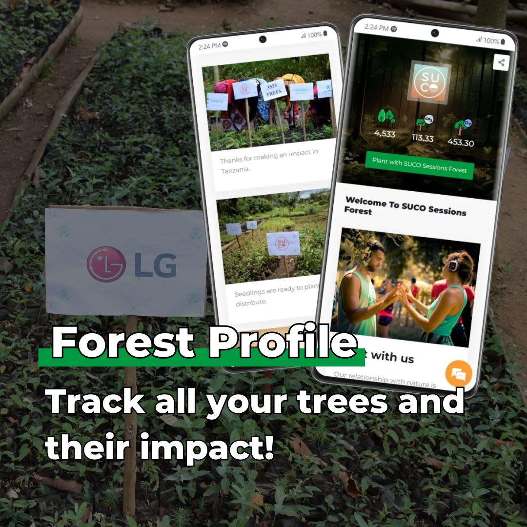 Keep Going, Keep Growing - Tree Kit - We Plant 20 Trees