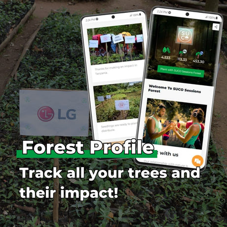 The Future Is In Our Hands - Tree Kit - We Plant 20 Trees-4