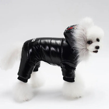 Pet Clothes Teddy Dog Clothes Pet Clothes - Lootquake