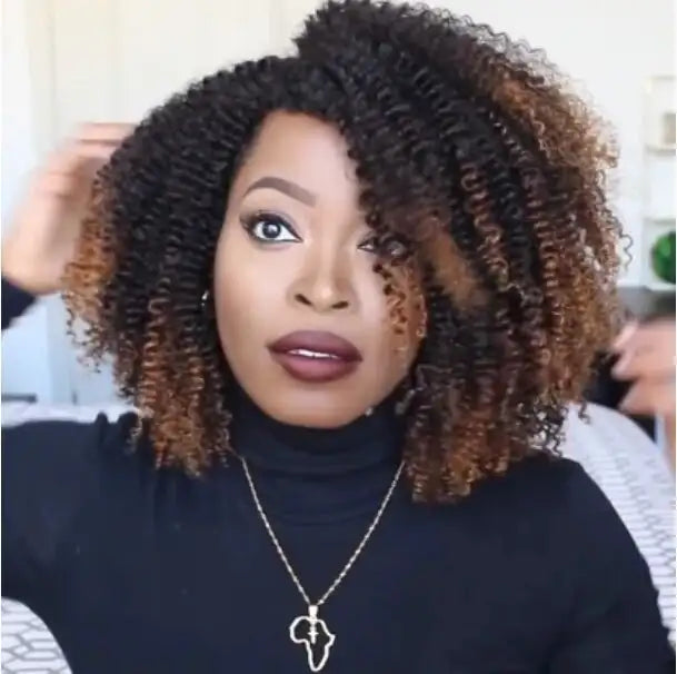 Wig short curly hair explosion head small curly wig wig - Lootquake