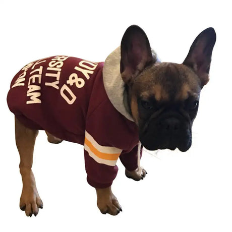Pet sweater - Lootquake