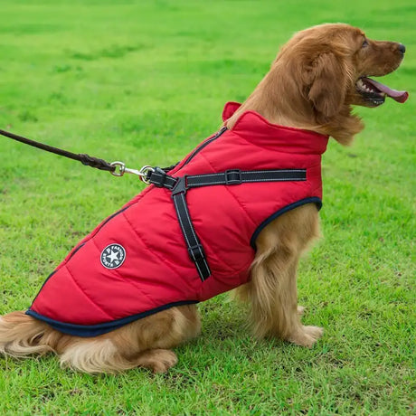 Pet Dog Clothes For Small Dogs Winter Warm Dog Hooded Coat Jackets Chihuahua Pug Outfits Puppy Cat Clothing - Lootquake