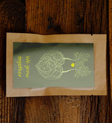Nurture Our Roots with 100 Trees – “Roots of Love"-1