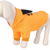 clothes for pets - Lootquake
