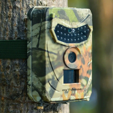 Forestry security camera - Lootquake