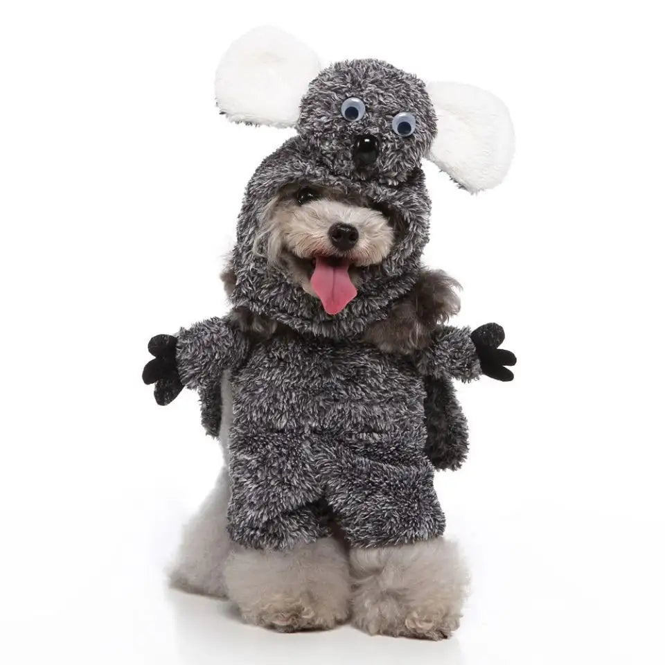 European And American Pet Products Clothing - Lootquake