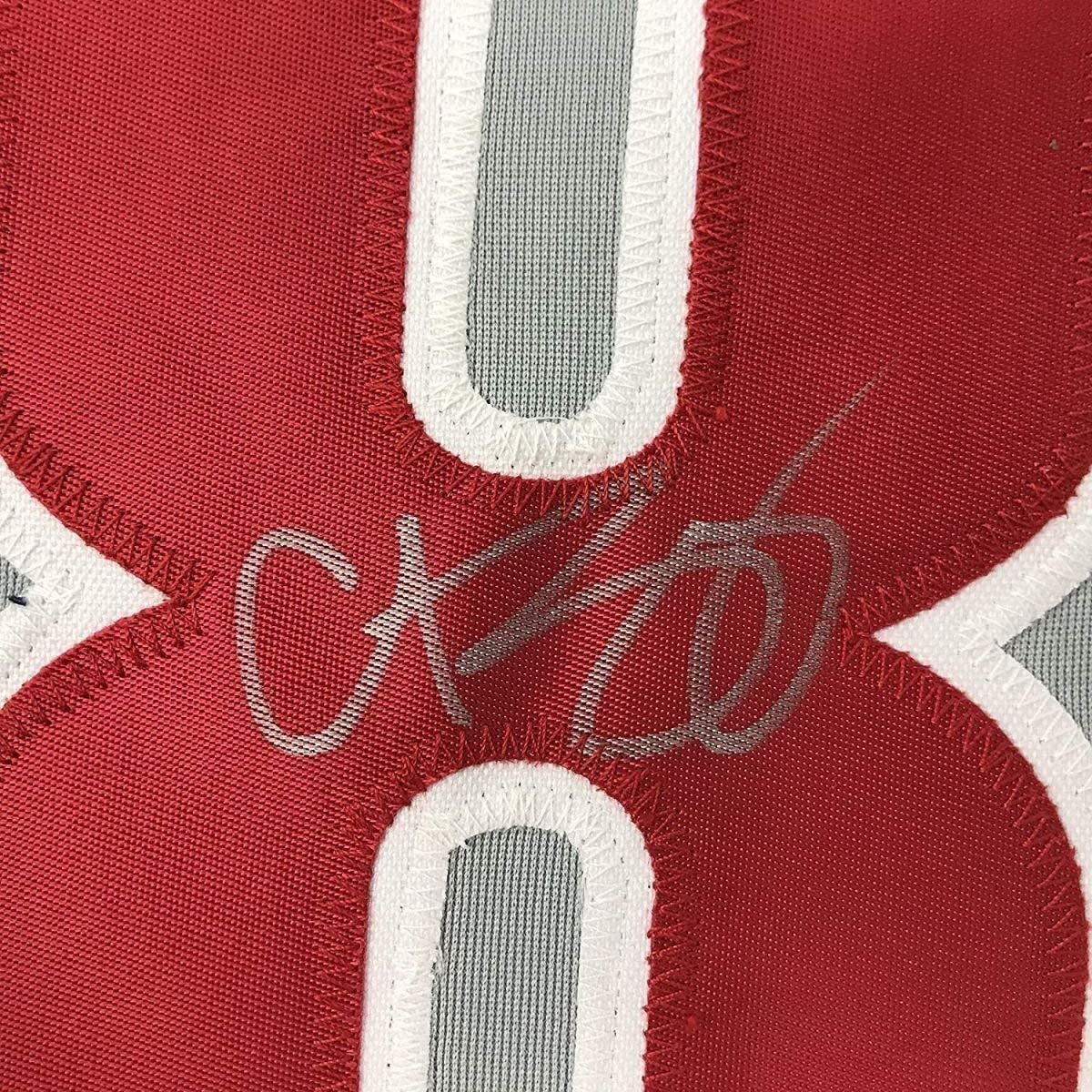 Camiseta de béisbol gris Filadelfia de 35 x 39, enmarcada, autografiada y firmada por Curt Schilling (JSA COA)