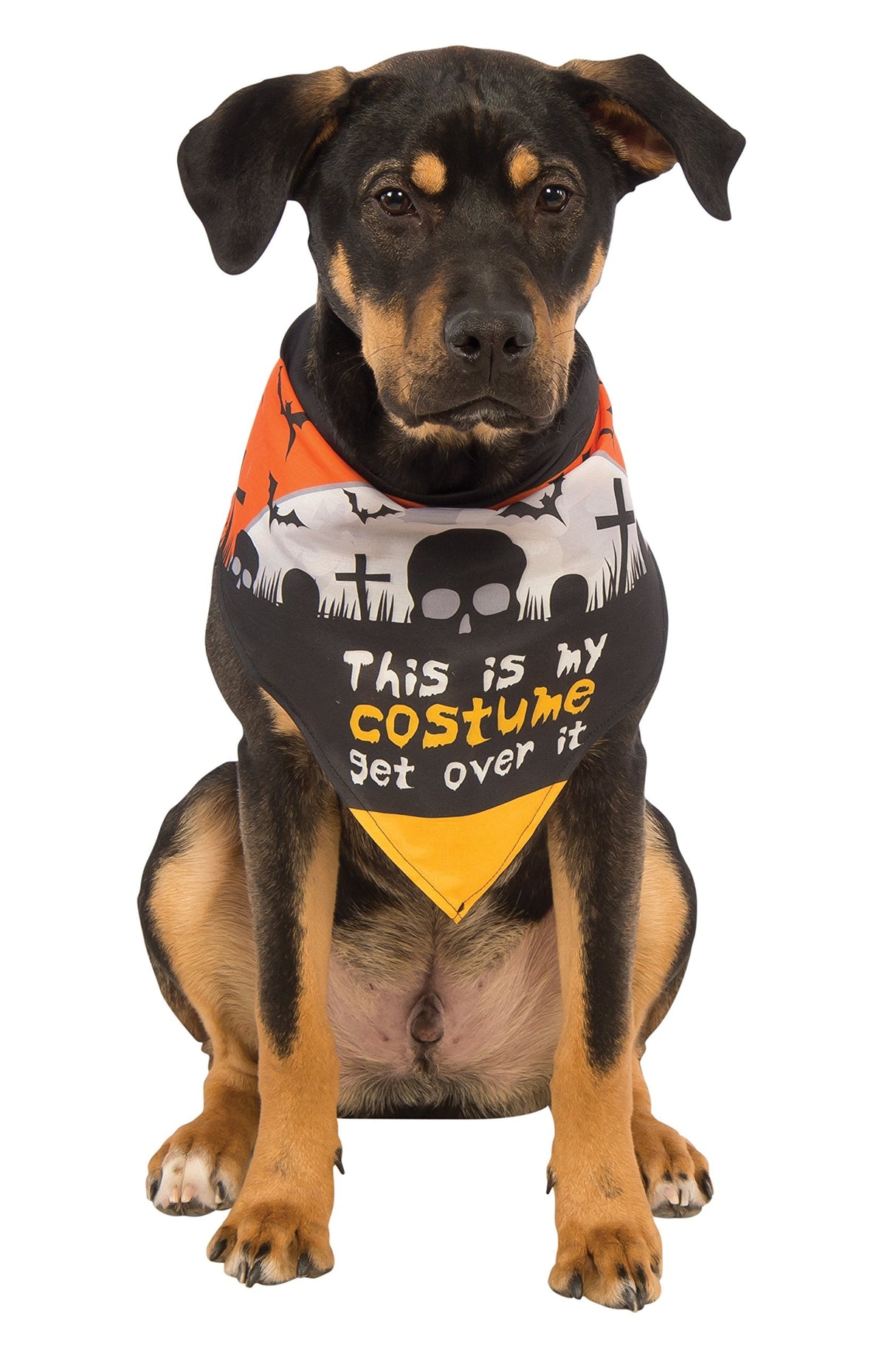 Pets This Is My Costume Bandana Costume Accessory