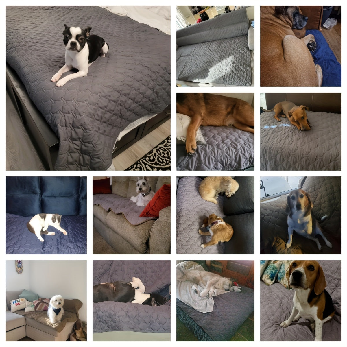 [Protector impermeable para cama de perro] Funda impermeable de doble cara para cama de perro, manta para mascotas, sofá, protector de muebles para perros