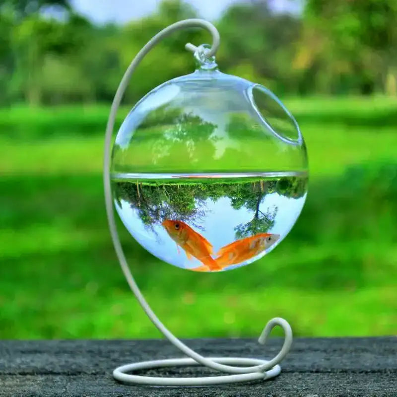 Hanging Glass Vase Fish Tank - Lootquake