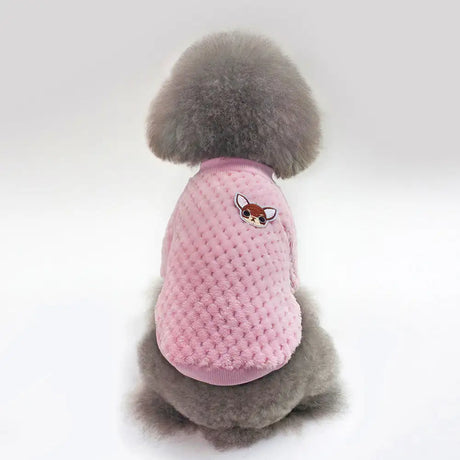 clothes for pets - Lootquake
