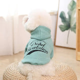 clothes for pets - Lootquake