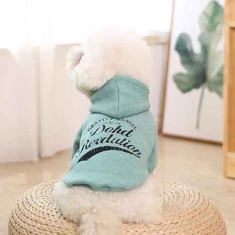 clothes for pets - Lootquake
