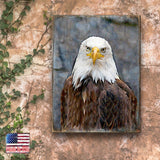 Eagle Portrait Art Wooden Wall Art by Nature Wonders - Nature Wildlife Decor  - 95296B