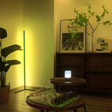 55" RGBCW Corner Floor Lamp-Black/Gold/White