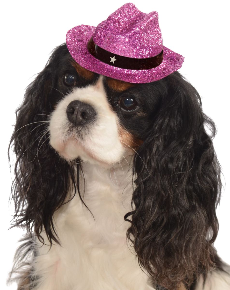 Pets Cowboy Hat - Various Colors