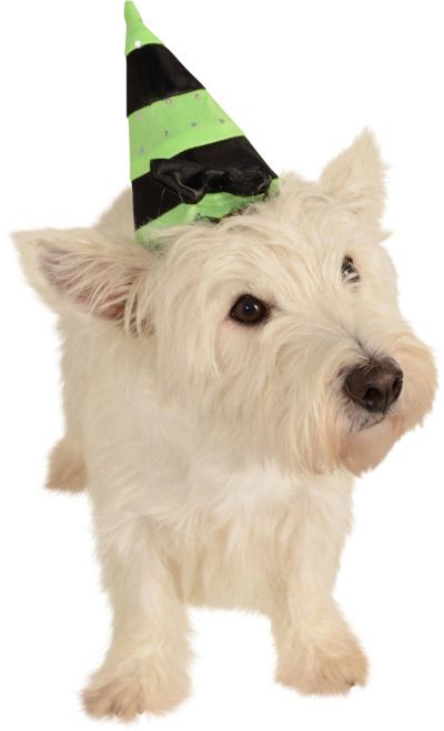 Pets Witch Hat - Various Colors