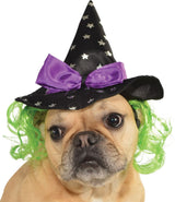 Pets Witch Hat - Various Colors
